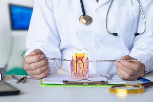 Best Emergency Tooth Extraction in Lafayette, TN